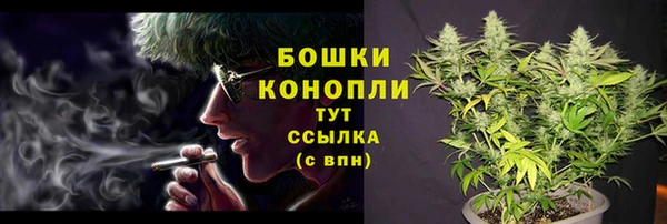 спайс Вяземский