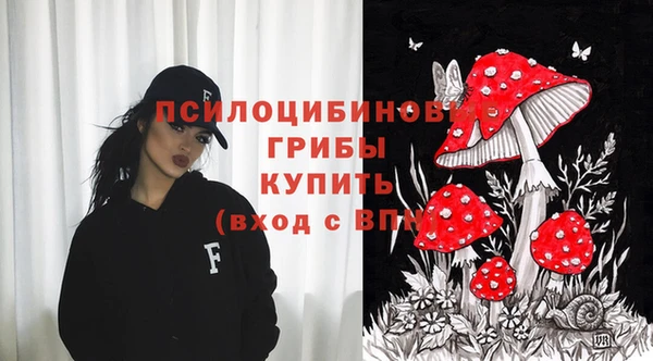 спайс Вяземский