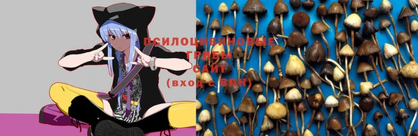 MESCALINE Вязьма