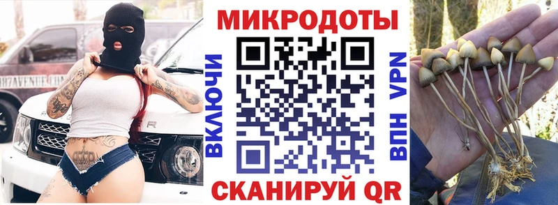 Галлюциногенные грибы Cubensis  Камышлов 